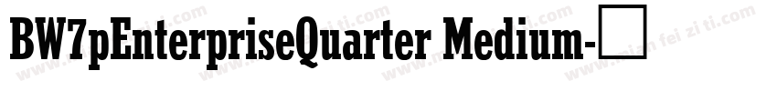 BW7pEnterpriseQuarter Medium字体转换